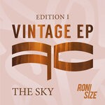 cover: Roni Size - The Sky