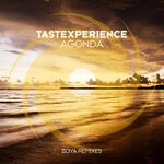 cover: Tastexperience - Agonda