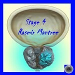 cover: Rasmir Mantree - Stage 4 (Mixes)