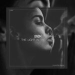 cover: Dndm - The Light In The Snow