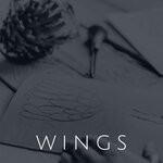 cover: John Wolf|Johnes|Johnny Bondevik - Wings