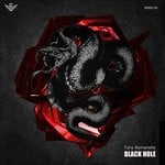 cover: Tony Romanello - Black Hole