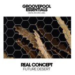 cover: Real Concept - Future Desert (Club Mix)