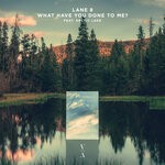 cover: Arctic Lake|Lane 8 - What Have You Done To Me?