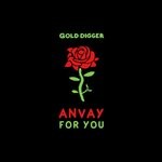 cover: Anvay - For You