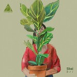 cover: Sbai - Bri