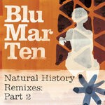 cover: Blu Mar Ten - Natural History (Remixes - Part 2)