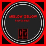 cover: Mellow Gellow - Salvia Birds