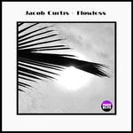 cover: Jacob Curtis - Flowless