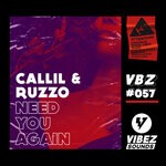 cover: Callil|Ruzzo - Need You Again