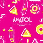 cover: Anatol - What You Want/High Wheels