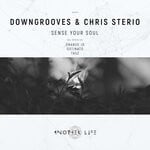 cover: Chris Sterio|Downgrooves - Sense Your Soul (Remixes)