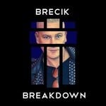 cover: Brecik - Breakdown