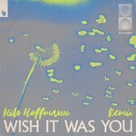 cover: Audien|Cate Downey - Wish It Was You (Nils Hoffmann Extended Remix)