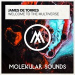 cover: James De Torres - Welcome To The Multiverse