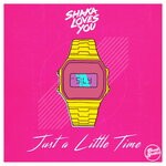 cover: Shaka Loves You - Just A Little Time