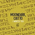 cover: Caitto|Moondark - I Wanted You