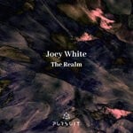 cover: Joey White - The Realm