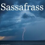 cover: Sassafrass - Hurricane