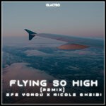 cover: Efe Yondu|Nicole Gheibi - Flying So High (Remix)