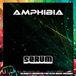 cover: Amphibia - Serum