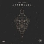 cover: Solidmind - Artemisia