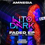 cover: Amnesia - Faded