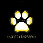 cover: Theo Schwarz - Stars In Front Of Me