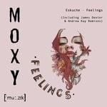 cover: Eskuche - Feelings