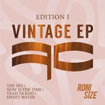 cover: Roni Size - Edition 1