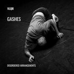 cover: Vlqr - Gashes