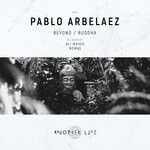 cover: Pablo Arbelaez - Beyond/Buddha