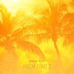 cover: Secret City - High Times