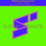 cover: Walking Among Gods - Sending Drones (The Remixes)