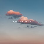 cover: Roelo - Vanilla Spice