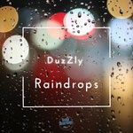 cover: Duzzly - Raindrops