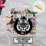 cover: Various - Latin American Collection Vol 1