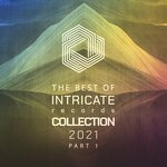 cover: Various - The Best Of Intricate 2021 Collection Pt 1