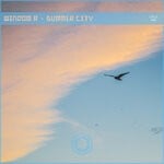 cover: Windom R - Summer City