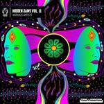 cover: Various - Hidden Jams Vol 11