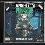 cover: Sashtek - Punk You (Extended Mix - Explicit)