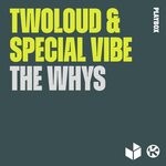 cover: Special Vibe|Twoloud - The Whys (Robin Stoll Remix)