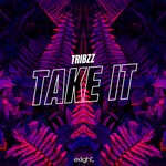 cover: Tribzz - Take It