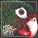 cover: Total Gipsy - Digital & Analogue