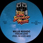 cover: Willie Rosado - Feelin Love (Feel In Love Mix)