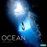 cover: Mauro Rawn - Ocean: Music & Sounds, Vol 1