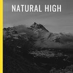 cover: Various - Natural High