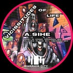 cover: A.sihe - Vicissitudes Of Life