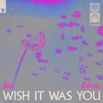 cover: Audien|Cate Downey - Wish It Was You (Axis Extended Remix)