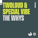 cover: Special Vibe|Twoloud - The Whys